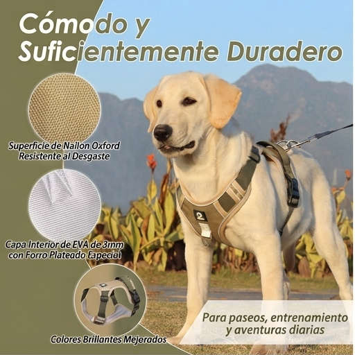 Arnés Reflectante con Asa de Control para Perros — Paseos Seguros Día y Noche