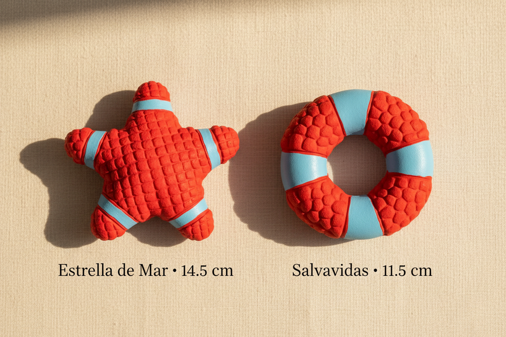Estrella de Mar y Salvavidas
